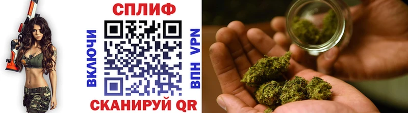 Продажа наркотиков Мегион Галлюциногенные грибы  COCAIN  А ПВП  МЕФ  ГАШИШ  Каннабис 
