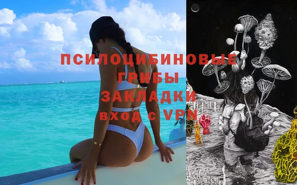 тгк Алексин