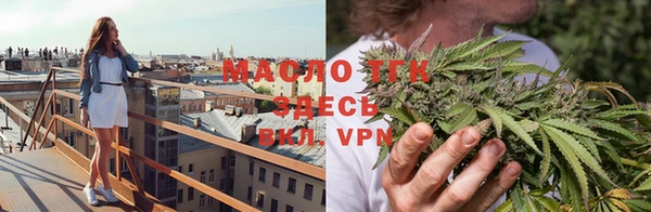 тгк Алексин